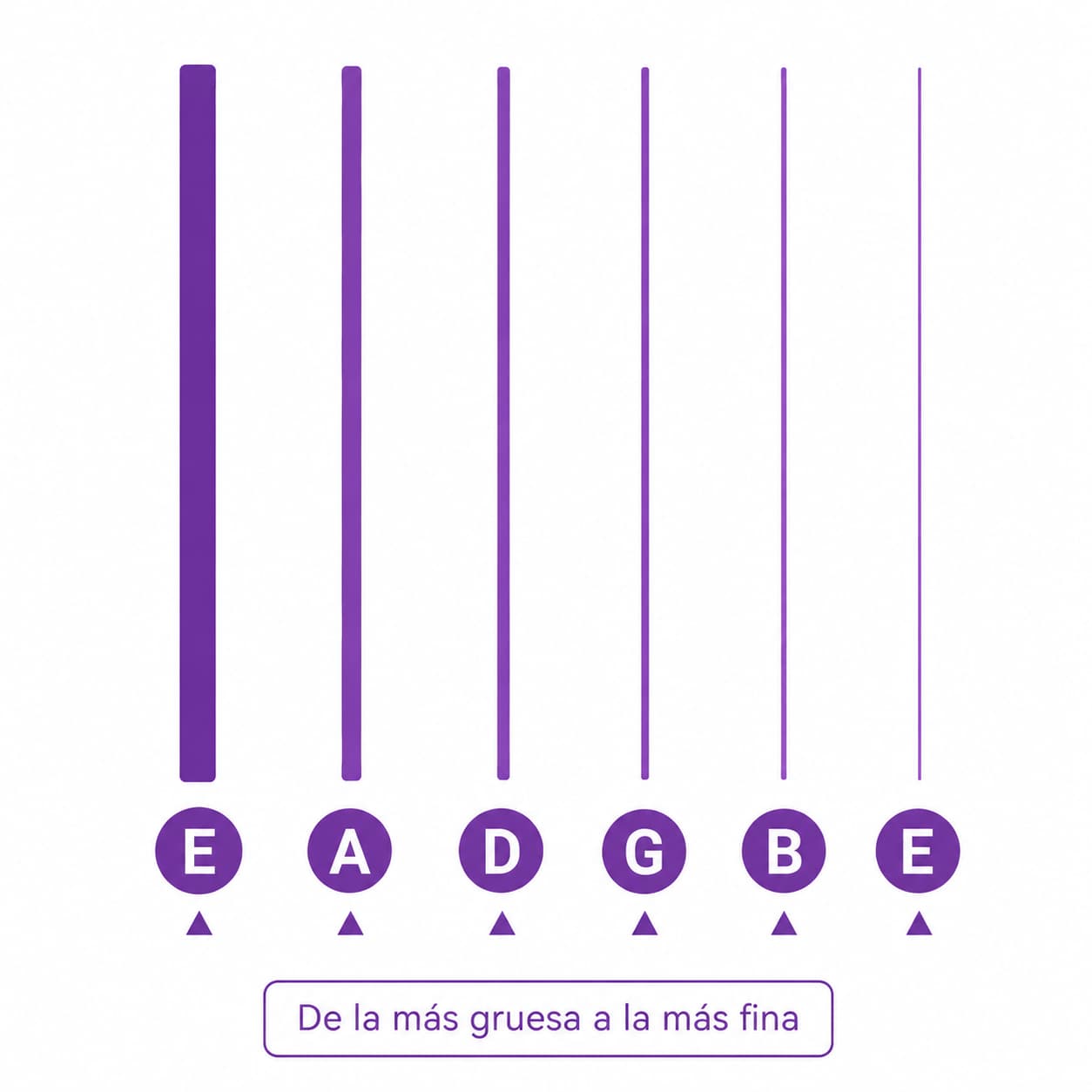 Diagrama de las cuerdas de guitarra con la afinaci&oacute;n E A D G B E