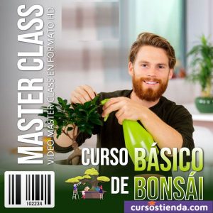 Lee más sobre el artículo Curso Básico de Bonsái: Aprende paso a paso cómo crear y cuidar tus propios bonsáis, sin importar tu nivel de experiencia