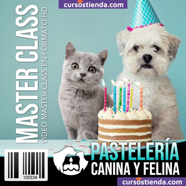 Curso de Pastelería Canina y Felina: Nutrición Natural para Mascotas