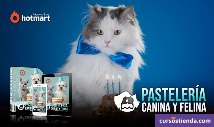 Gato con moño disfrutando de un pastel de cumpleaños, una representación de la importancia de la pastelería para mascotas.