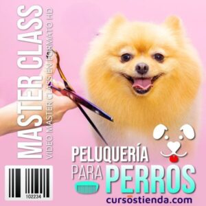 Lee más sobre el artículo Peluquería para Perros